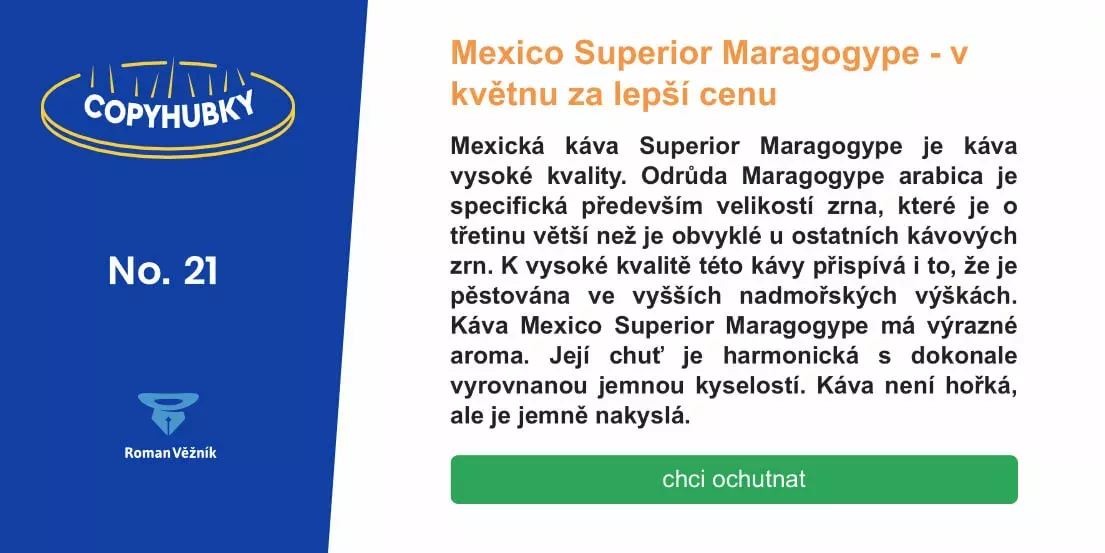 Copyhubky č. 21 – Plnovýznamová slovesa řeknou víc